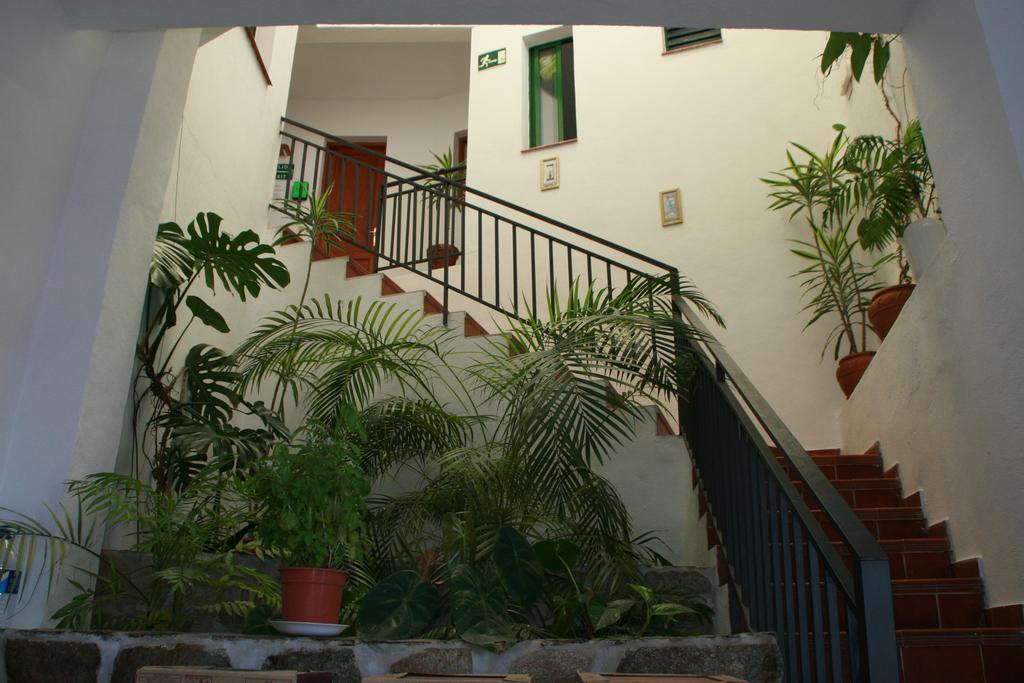 La Palma Hostel By Pension Central フエンカリエンテ・デ・ラ・パルマ エクステリア 写真